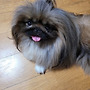 그날이 그날~