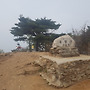 판매완료 )))))CRF..