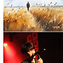 김정현 neverthele..