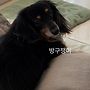 20260609 배우님 인스..