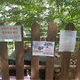 사라진 고양이들을 찾..