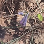 대덕산