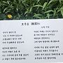 용추계곡