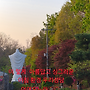 오늘 도 하루 를 사랑합니..