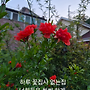 오늘 하루 의 기쁨..