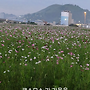 칠월 칠석날 밤