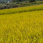 시월의 첫날 세벽