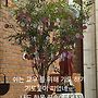 유월 을 보내면서 ᆢ