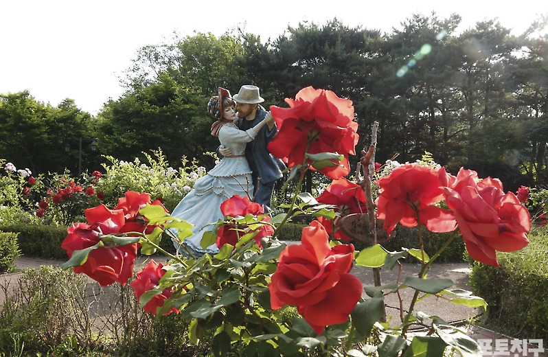 [포토친구] 쉘 위 댄스