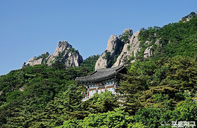 [포토친구] 5월의 망월사