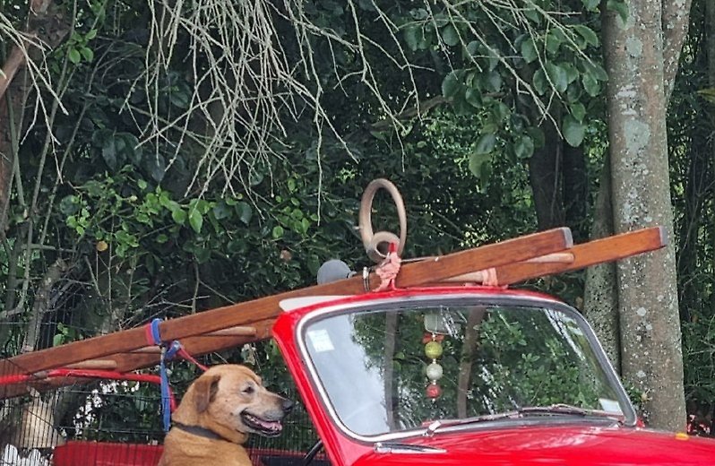 [고양이 눈]떠나보자!