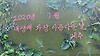 용기 글의 미리보기 사진