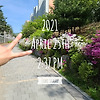 점심산책 / Apr 25 / 너무... 더운데? 글의 미리보기 사진