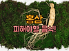 홍삼 먹을 때 피해야할 음식 알아보자! 글의 미리보기 사진