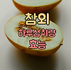 참외 하루 섭취량, 효능 알아보기! 글의 미리보기 사진