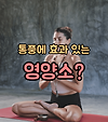 통풍 치료에 도움을 주는 영양소? 오메가3를 살펴보자! 글의 미리보기 사진