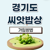 경기도 씨앗밥상 가입방법, 배달, 한도 총정리! 글의 미리보기 사진