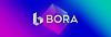 보라코인(BORA) 호재 일정, 카카오게임즈 코인 글의 미리보기 사진