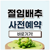 2024 김장 절임배추 사전예약 총정리 (홈플러스, 이마트, 롯데마트, 쿠팡) 글의 미리보기 사진