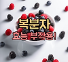 복분자 효능 부작용 남자에게 좋다! 글의 미리보기 사진
