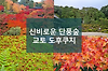 시간이 멈춘 듯한 단풍 절경, 도후쿠지 京都 東福寺 교토여행 게이한패스 코스 추천 글의 미리보기 사진