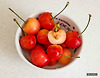노란 레이니어 체리, rainier cherry 글의 미리보기 사진