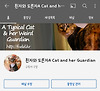 유튜브하는 고양이 후추(feat.흰자와 도른자 A Typical Cat & her Weird Guardian) 글의 미리보기 사진