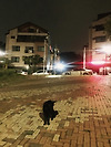 재작업 글의 미리보기 사진