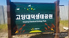 [完]첼시세끼♬ 2주차 제7일 글의 미리보기 사진