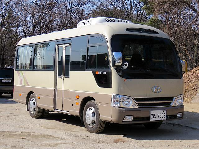 고래 먹방하던 상어들이 갑자기 사라진 이유