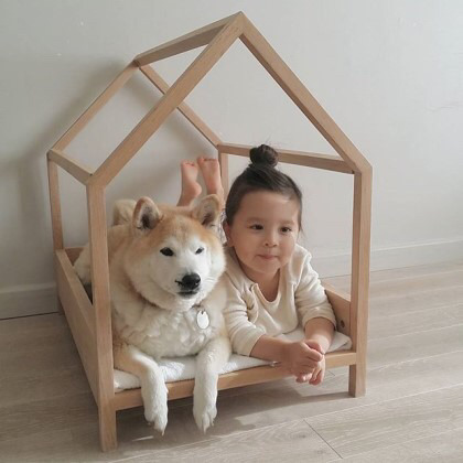 2살 소녀와 9살 시바견