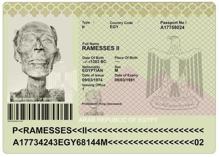 여권 레전드