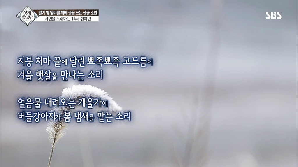 영재발굴단