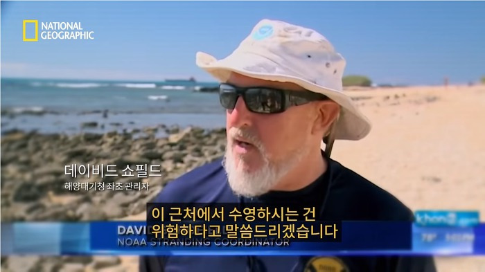 고래 먹방하던 상어들이 갑자기 사라진 이유