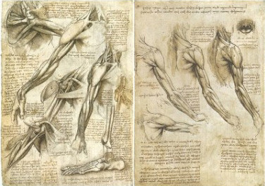 레오나르도 다빈치의 노트 필기와 숨겨진 비밀