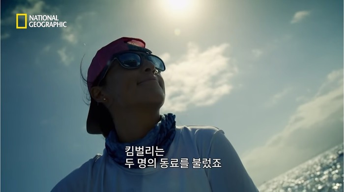 고래 먹방하던 상어들이 갑자기 사라진 이유