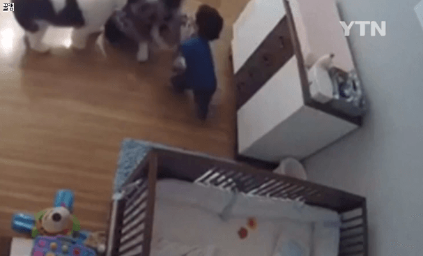 9980B3435C5887B507403B