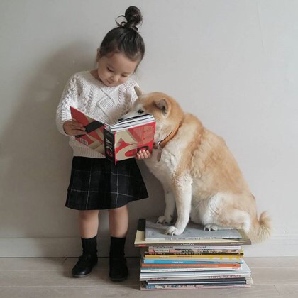 2살 소녀와 9살 시바견