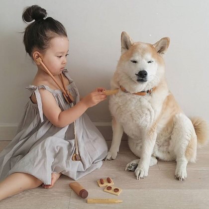 2살 소녀와 9살 시바견