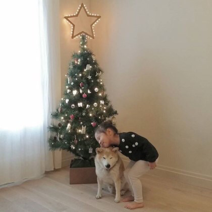 2살 소녀와 9살 시바견