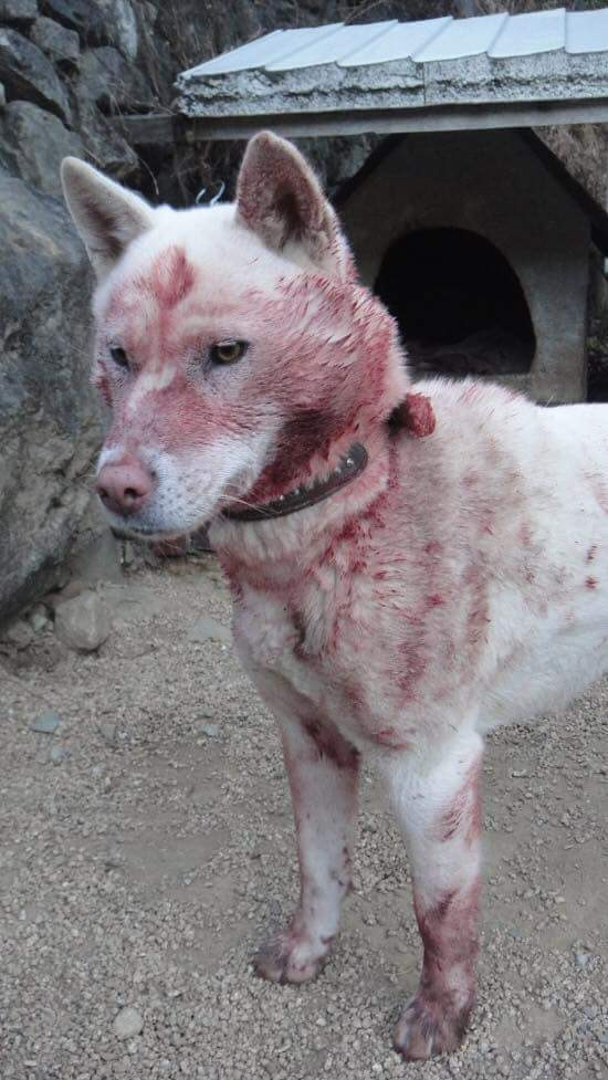 99FF75365B558E0C282D1C