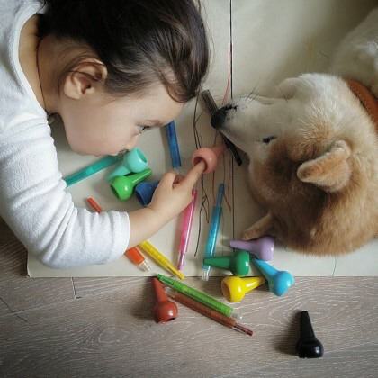 2살 소녀와 9살 시바견