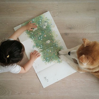 2살 소녀와 9살 시바견