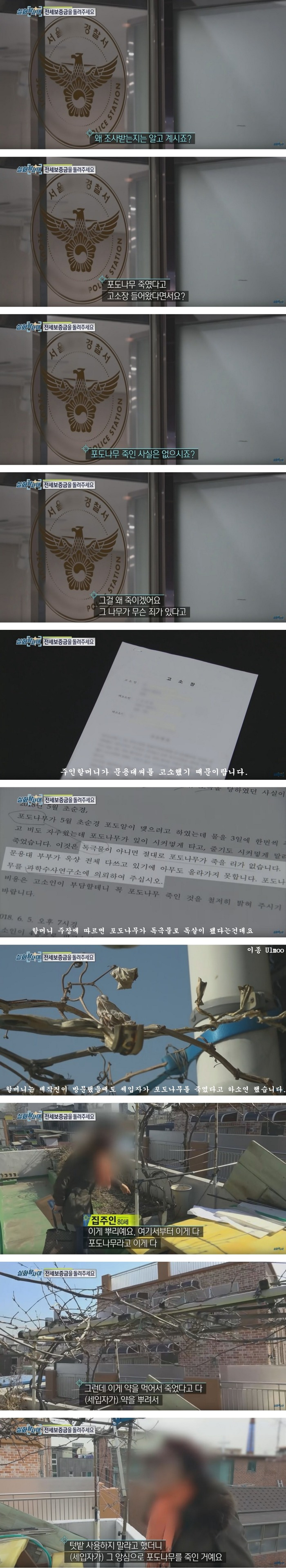 99BA164B5C874FB33DD449