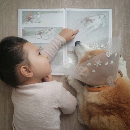 2살 소녀와 9살 시바견