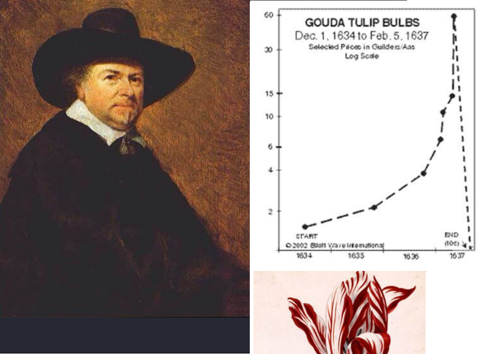 17세기 네덜란드에서 있었던 튤립 투기사건
