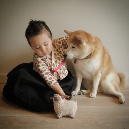 2살 소녀와 9살 시바견