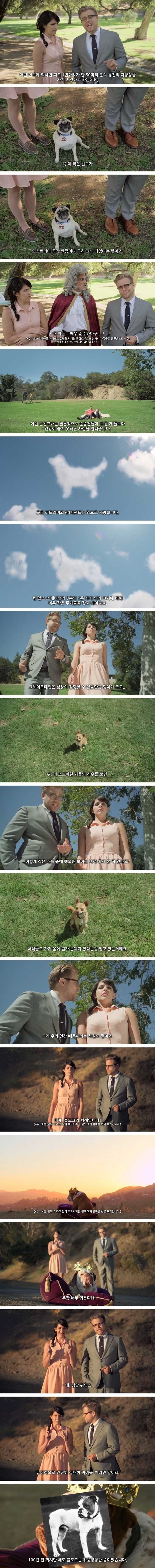 242AA74B57AB514A331768