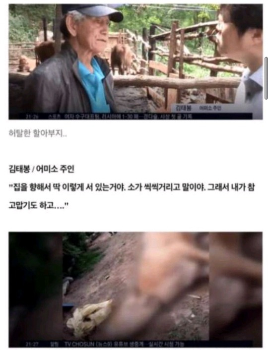 이 소는 절대로 안판다