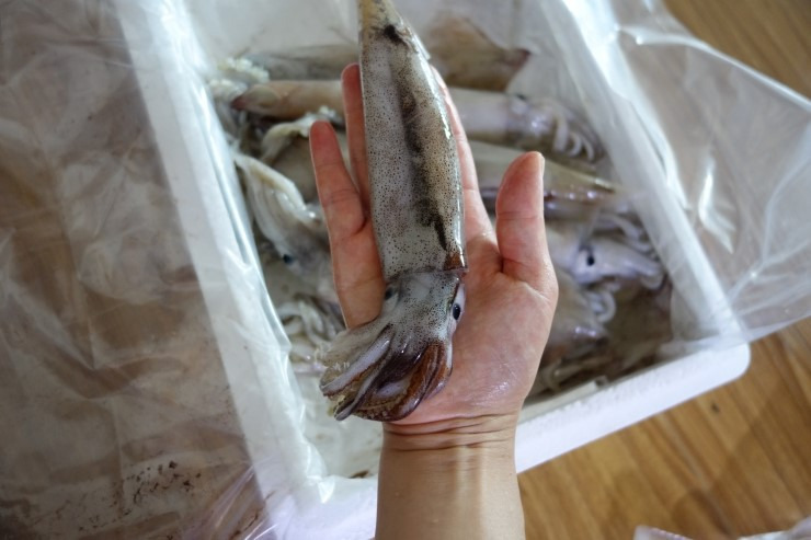 9975823E5B0932041E504B